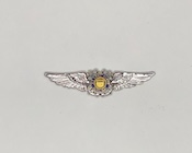 USCG Auxiliary silver pilot wings miniature device - front
